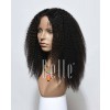High Quality African American Wig Indian Virgin Hair Lace Front Wig Afro Curl 
